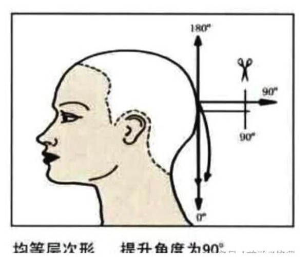 1596184024512835.jpg 5.jpg