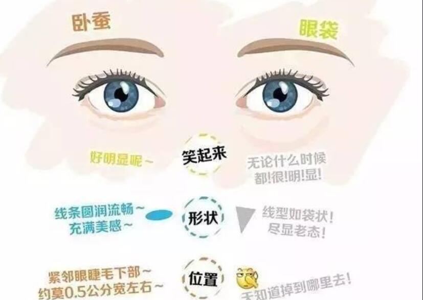 眼袋還是臥蠶，快來學(xué)辨別的方法