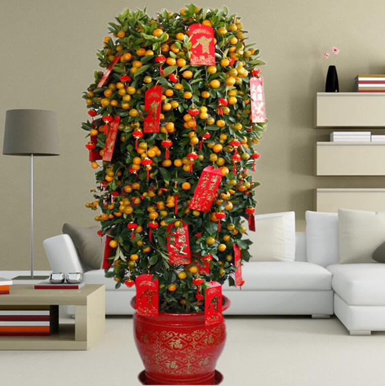 1611814968323048.jpg 15.jpg