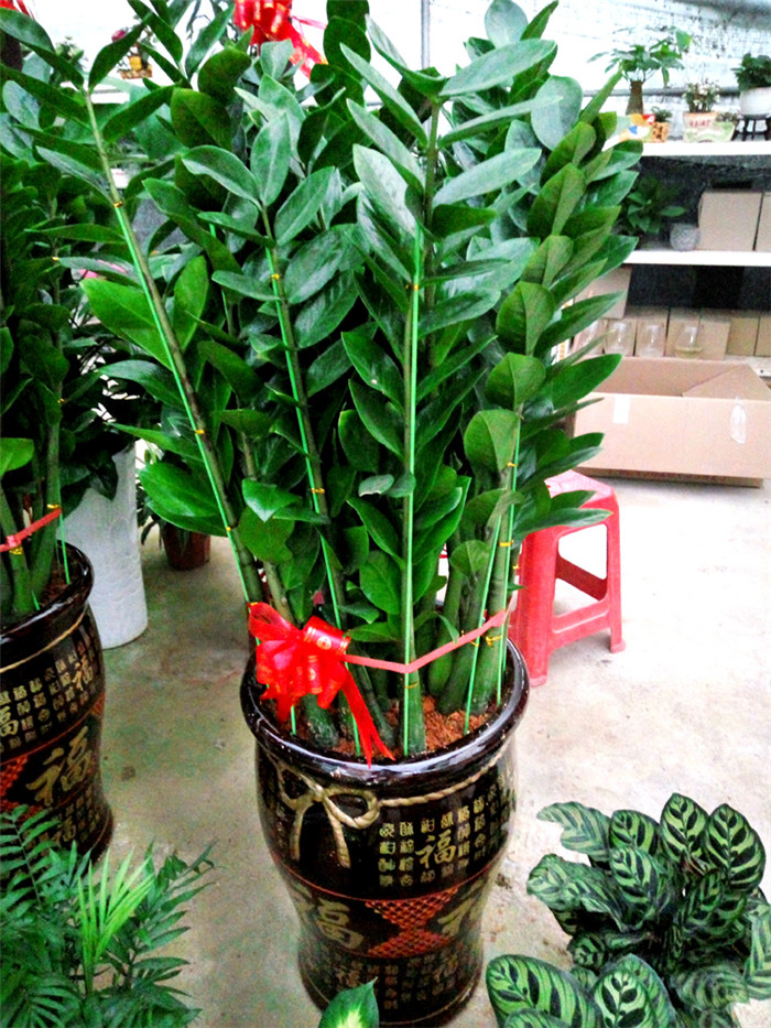 1611980222931823.jpg 20170629110121_96118.jpg