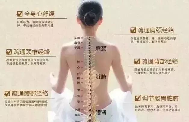 如何進(jìn)行背診？南寧美容培訓(xùn)中心手把手教你