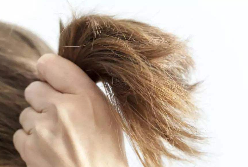 1626955487877054.png QQ截圖20210722200341.png