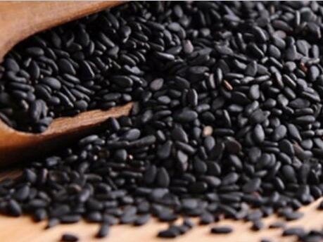 在家也能做的美發(fā)沙龍！