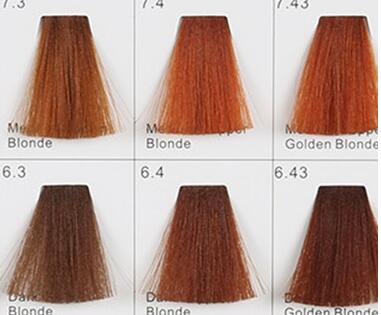 南寧專業(yè)美發(fā)學(xué)校：美發(fā)色板的數(shù)字怎么看