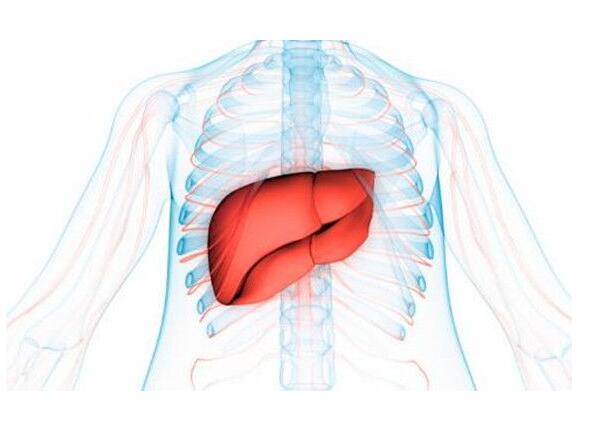 1635600909199704.jpg 8aadc42aa42d871f271c1ac361cae49b219782.jpg