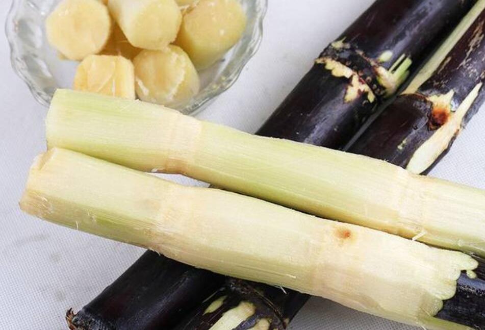 1637244052926166.jpg QQ截圖20211118220021.jpg