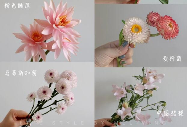 認(rèn)識(shí)常見花朵的名稱，廣西插花學(xué)校花藝培訓(xùn)基礎(chǔ)