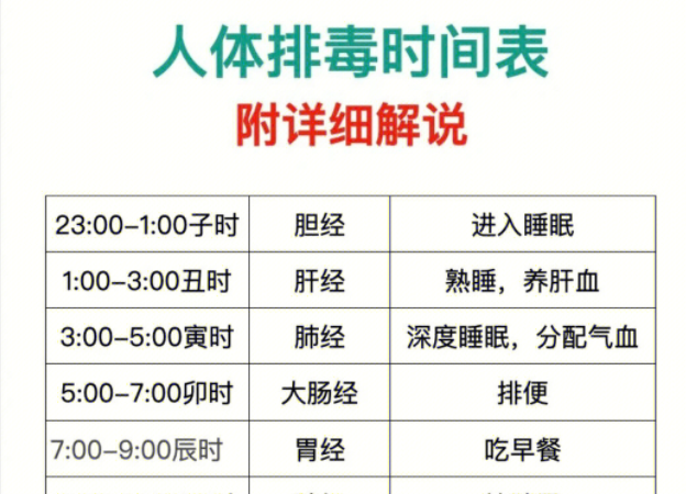 人體排毒時(shí)間表，南寧美容專業(yè)學(xué)校詳細(xì)解說