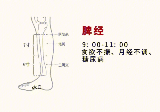 日常容易堵塞的身體部位，廣西美容基礎(chǔ)教學(xué)