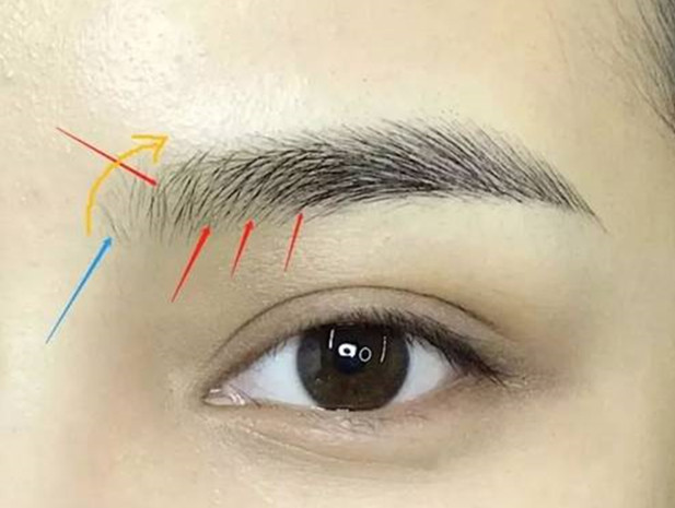 廣西培訓紋眉毛-紋繡新手技術提升技巧之眉頭處理