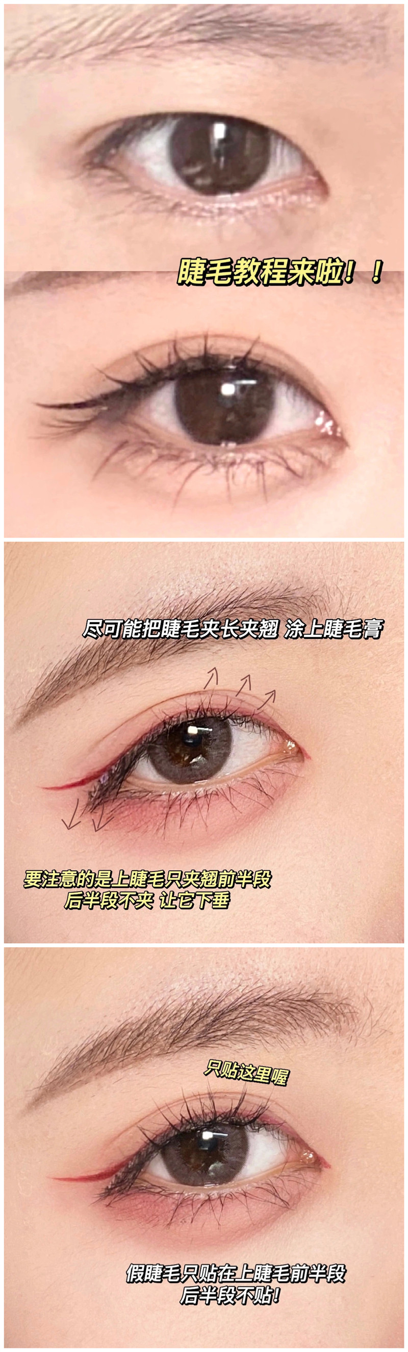 1686668433310457.jpg 801.jpg