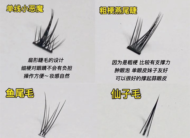 假睫毛科普知識，廣西化妝基礎