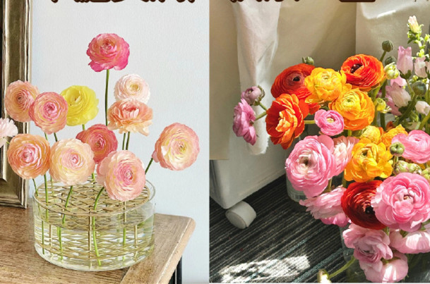 小眾但花語很美的花卉，南寧鮮花知識(shí)培訓(xùn)