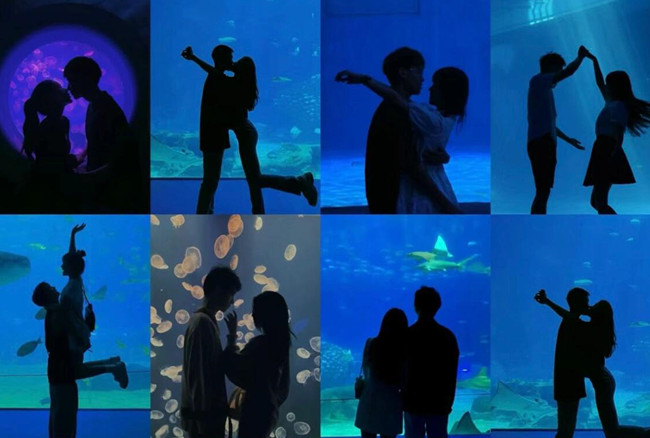 在海洋館怎么拍照？廣西人物形象設(shè)計專業(yè)支招