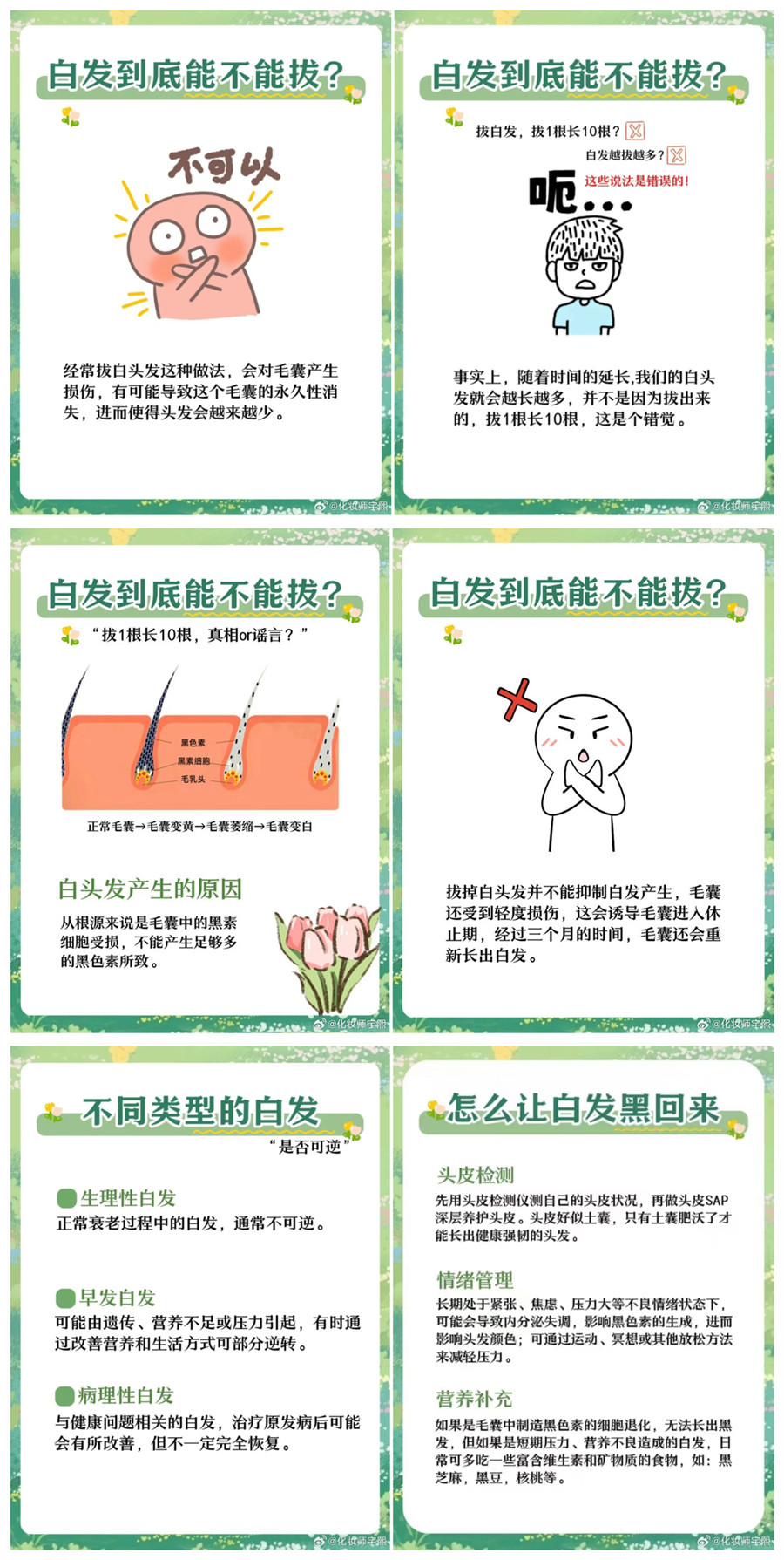 1733489019306147.jpg 900.jpg